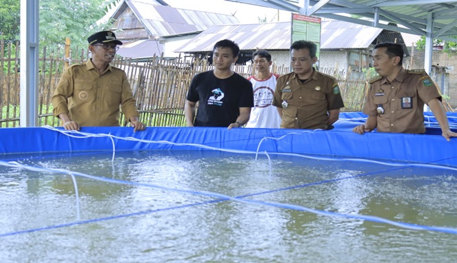 Pj. Bupati Takalar Meninjau Langsung Kegiatan Budidaya Air Tawar Pj. Bupati Takalar Meninjau Langsung Kegiatan Budidaya Air Tawar