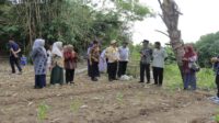Pj. Bupati Takalar Kunjungi Pengepul dan Petani Cabe di Mangadu Pj. Bupati Takalar Kunjungi Pengepul dan Petani Cabe di Mangadu