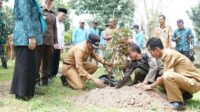 Peringati Hari Bumi Sedunia, Pj Bupati Takalar Tanam Pohon
