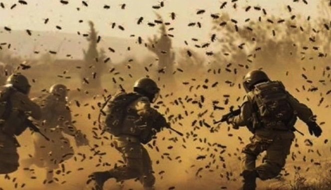 Tentara Israel Terluka Disengat Kawanan Lebah di Jalur Gasa Tentara Israel Terluka Disengat Kawanan Lebah di Jalur Gasa