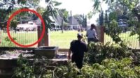Tujuh warga terluka tertimpa pohon tumbang saat Presiden RI Jokowi mendarat di Kabupaten Muna Sultra