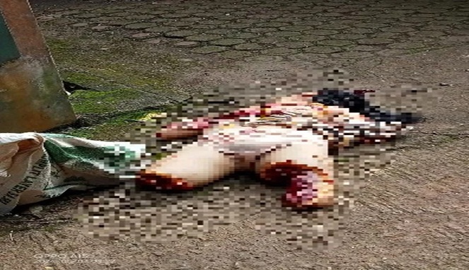 Akibat Banyak Utang Seorang Suami di Ciamis Mutilasi Istrinya