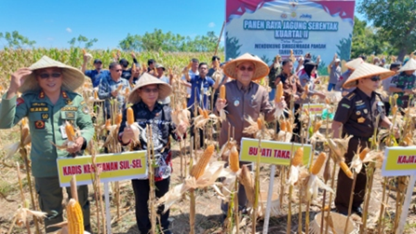Wakil Bupati Takalar Hadiri Panen Raya Jagung Serentak se-Indonesia