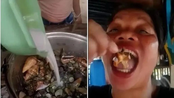 Viral Setelah Makan Kepiting Beracun, Influencer Filipina Tak Tertolong
