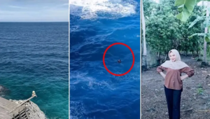 Tangkapan layar video yang memperlihatkan kawasan wisata Tebing Apparalang di Kabupaten Bulukumba, kondisi Elmi (17) saat terombang-ambing di laut usai diterjang ombak (lingkaran merah), serta foto korban yang hingga kini masih dalam pencarian tim SAR gabungan, Minggu (7/6/2026). Niat Berfoto di Tebing Apparalang, Siswi SMA Hilang Usai Diterjang Ombak Besar