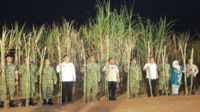 Wakil Bupati Takalar Dr. H. Hengky Yasin bersama Sekretaris Daerah Dr. Muhammad Hasbi mewakili Bupati Takalar Daeng Manye. Takalar Bergemuruh! Panen Raya Tebu TNI Jadi Sinyal Kuat Swasembada Gula Nasional