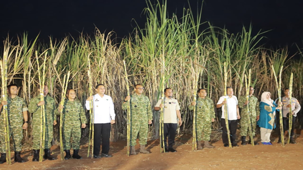 Takalar Bergemuruh! Panen Raya Tebu TNI Jadi Sinyal Kuat Swasembada Gula Nasional