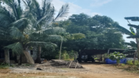 Tampak sebuah Gudang di Dusun Parangcarammeng Jejak Dugaan Mafia Solar Subsidi Mengarah ke Gudang di Parangcarammeng Gowa