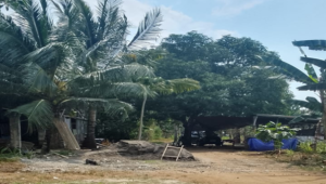 Jejak Dugaan Mafia Solar Subsidi Mengarah ke Gudang di Parangcarammeng Gowa