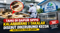 Dugaan Kecoa hingga Showcase Bekas Disorot di SPPG Kalabbirang 1 Takalar