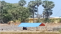 Desak Kapolres Takalar Turun Langsung, Proyek Penimbunan di Pandanga Diminta Diperiksa